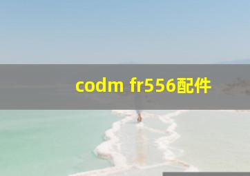 codm fr556配件